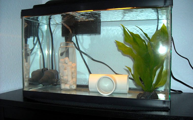 Карантинный аквариум