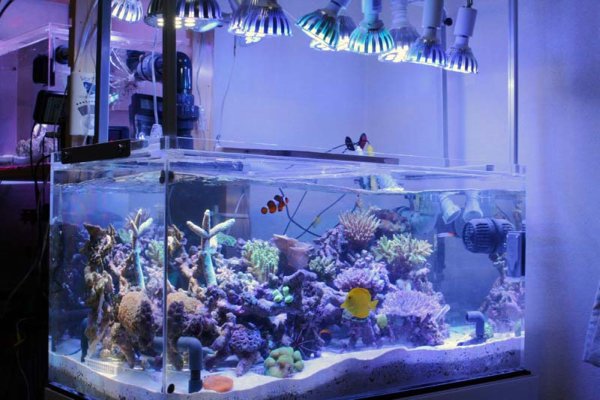 led-aquarium
