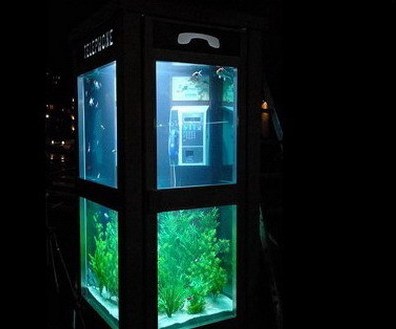 aquarium13