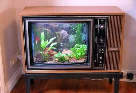 аквариум телевизор